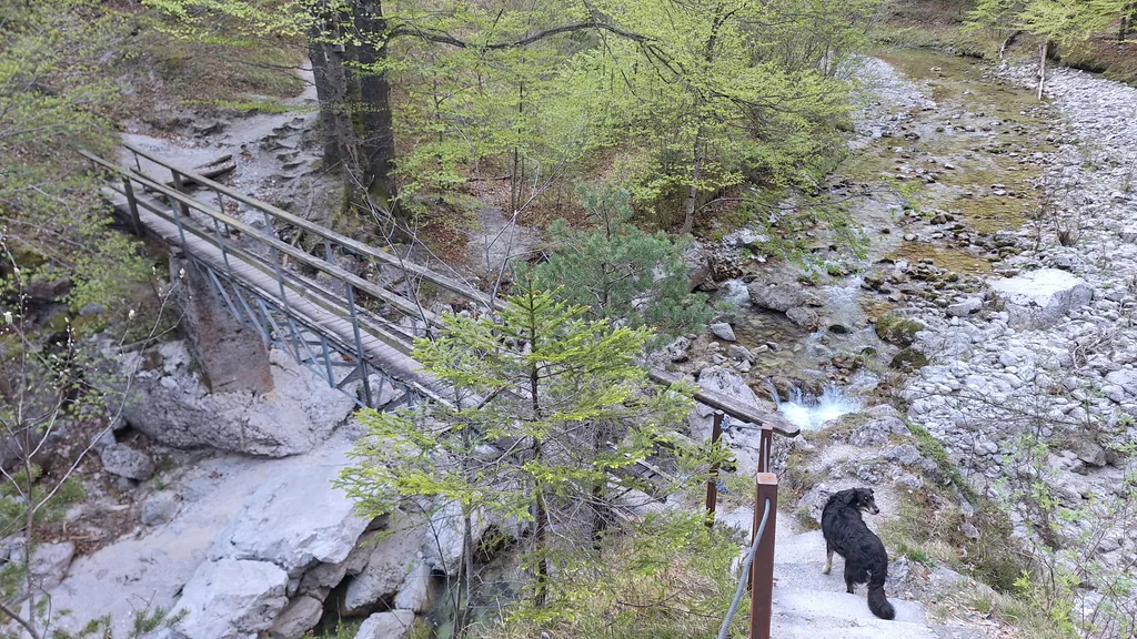 Bild von Wolfgang für den Spot 4653