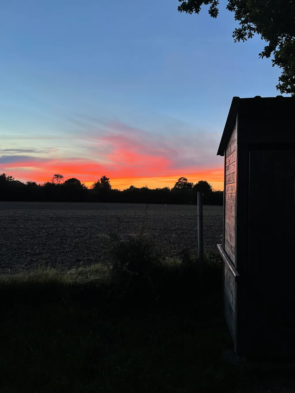 Bild von Frederike für den Spot 2369