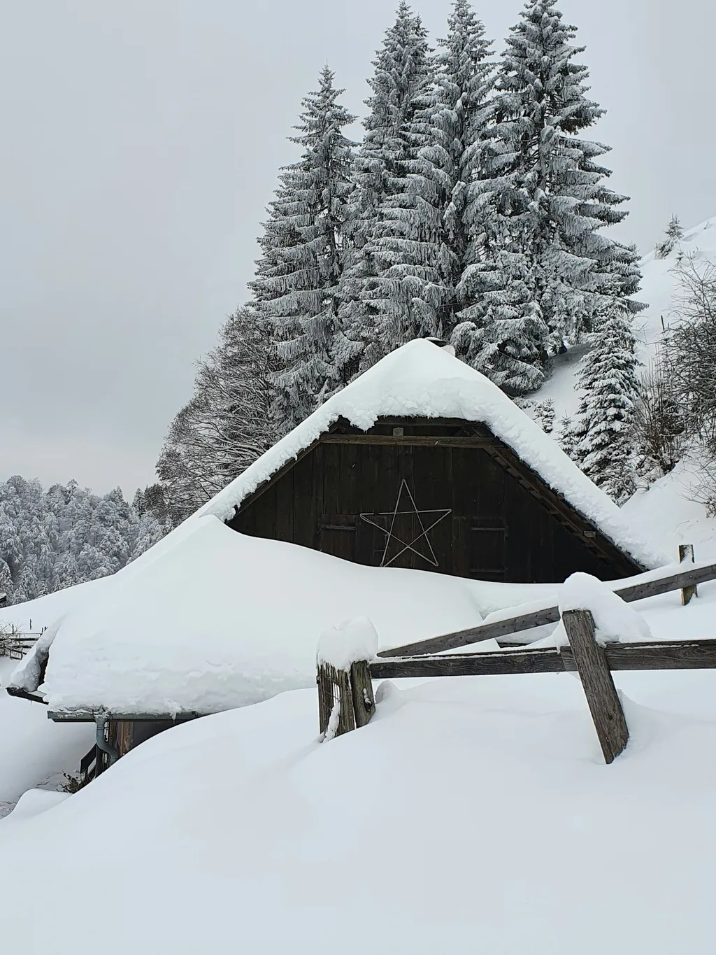 Alphütte Birbäumli