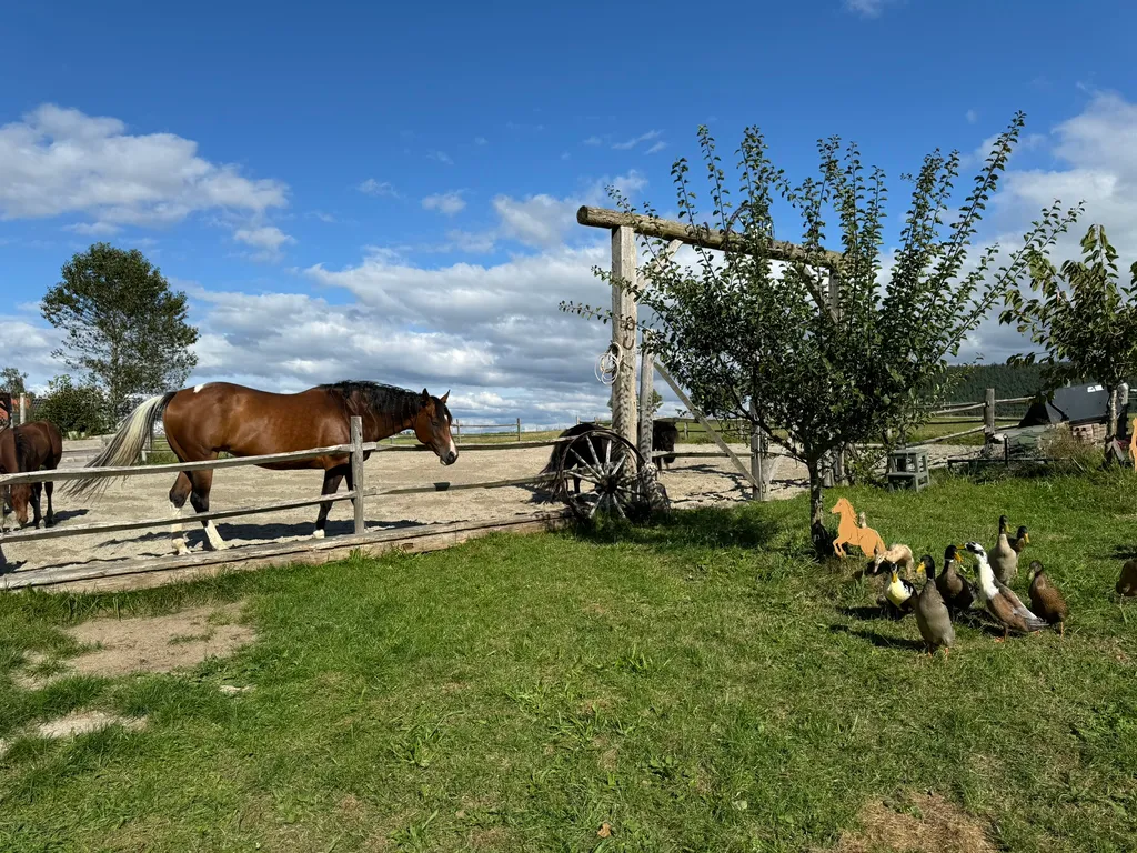 Cowboywagen mit Schwarzwald-Feeling