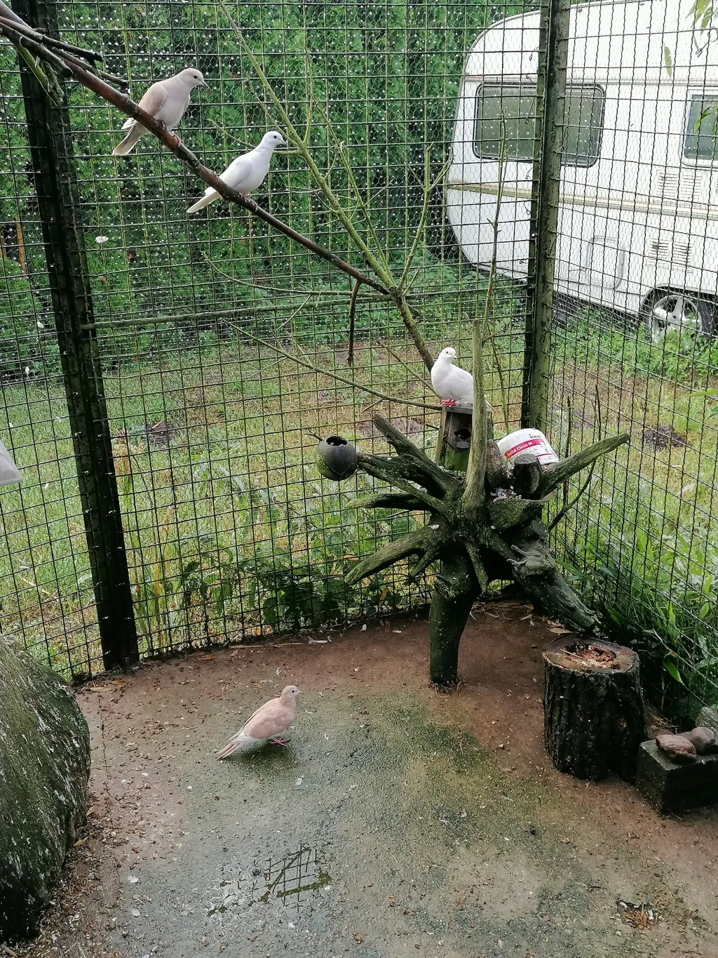 Hof, Tiere & pure Natur