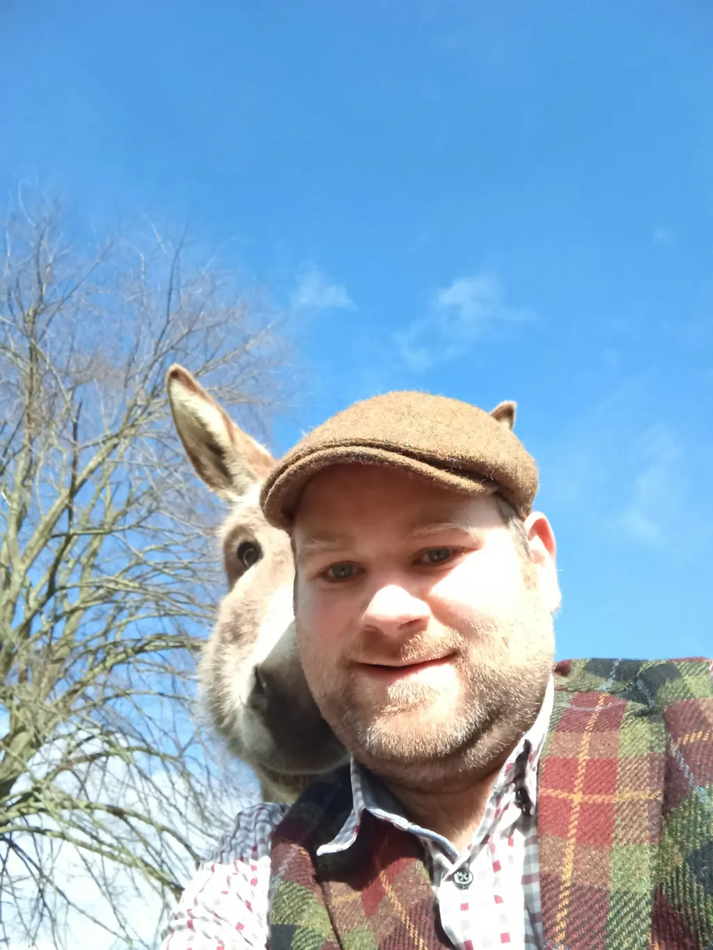 Holger avatar