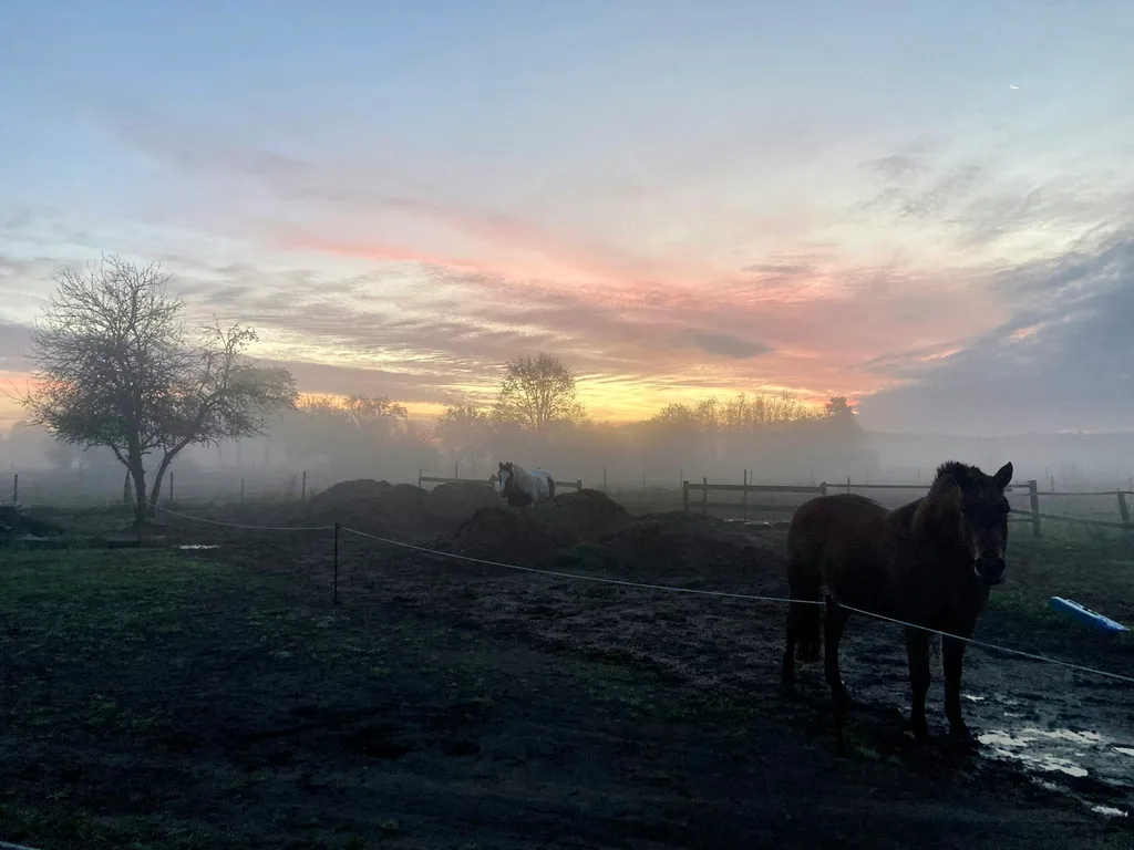 Wunderschöne Sonnenauf-und Untergänge  können wir..🤠