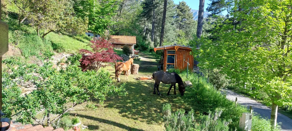 Home Office auf Korsika