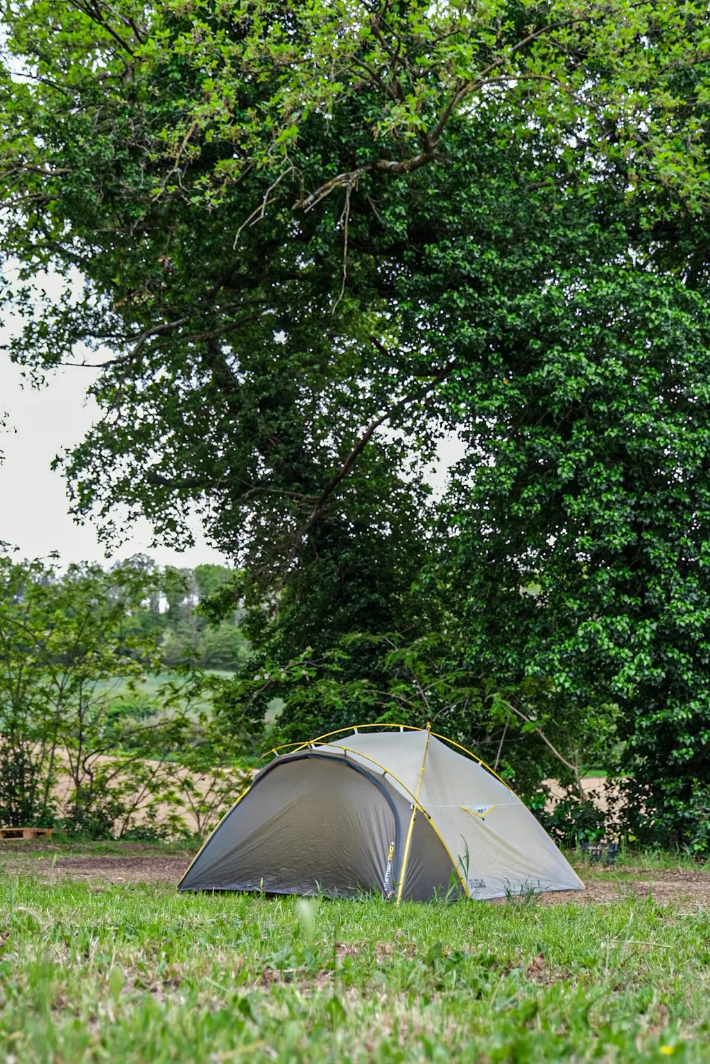 Camp gli Ulivi della Luca - Tenda