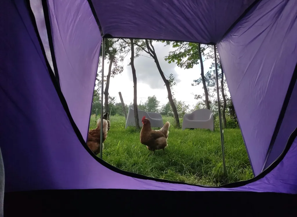 Zeltplatz nähe Hamburg & Cuxhaven