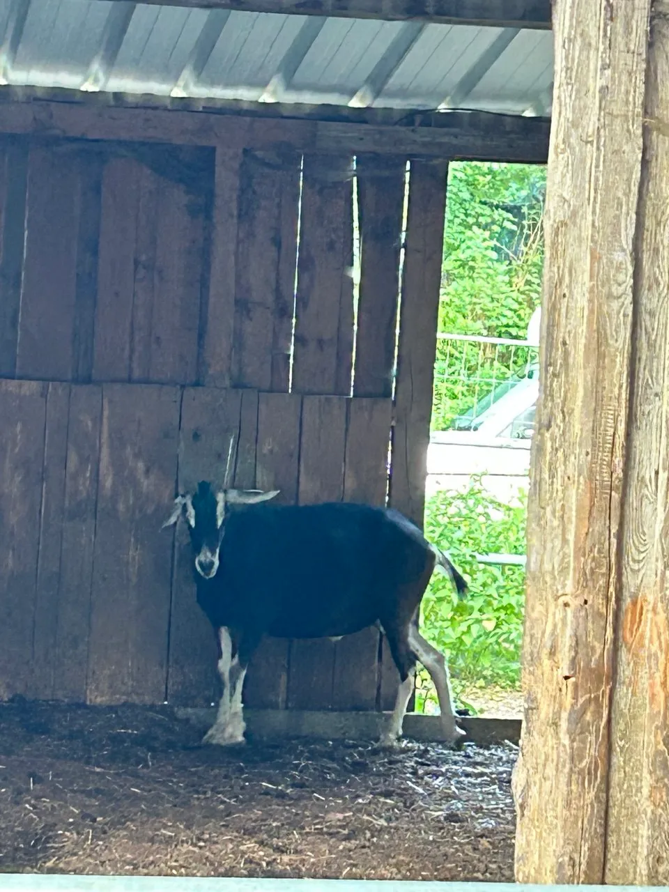 Bild von Olga für den Spot 1547