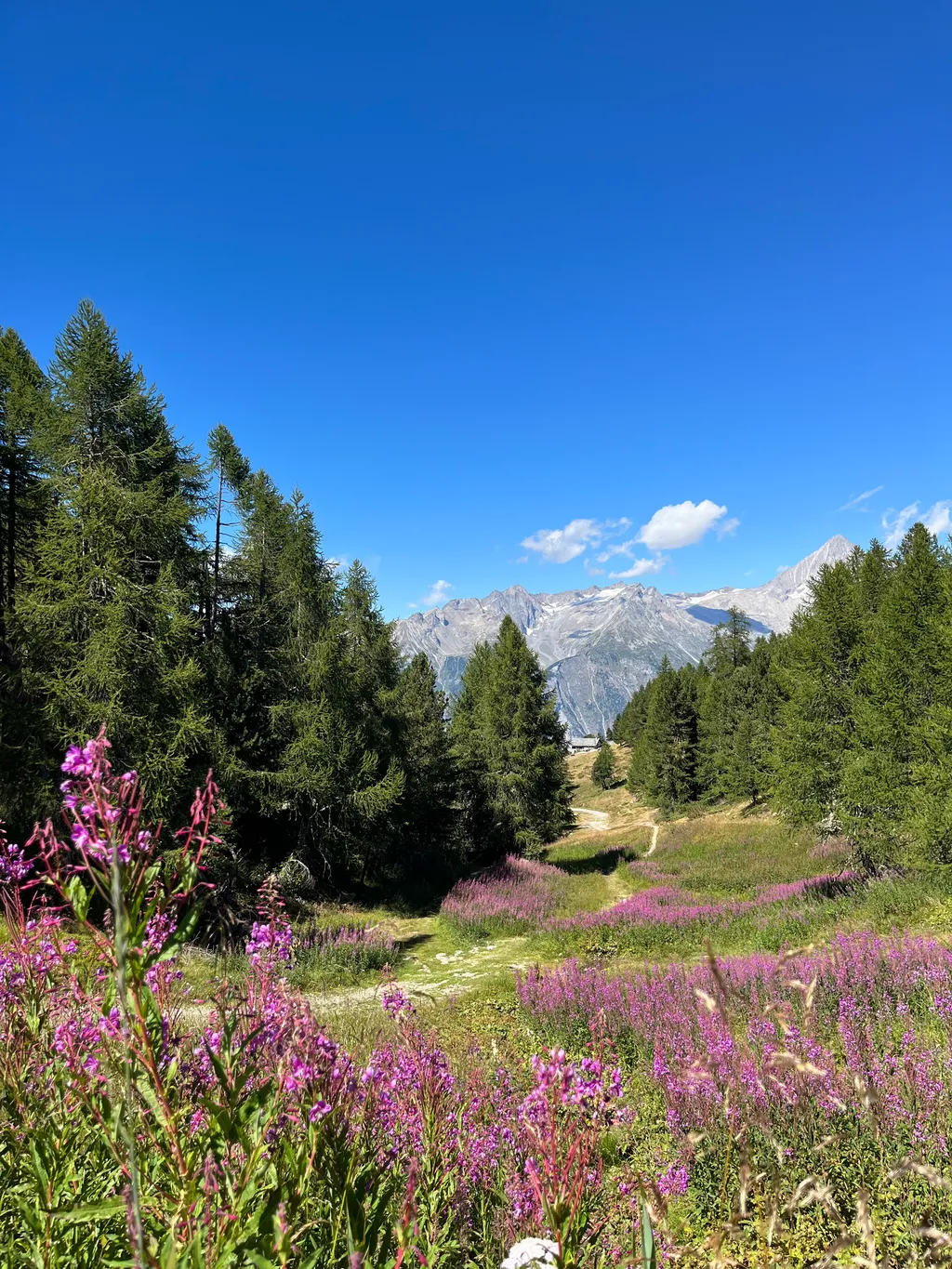 Camp Bietschhorn - Bürchen