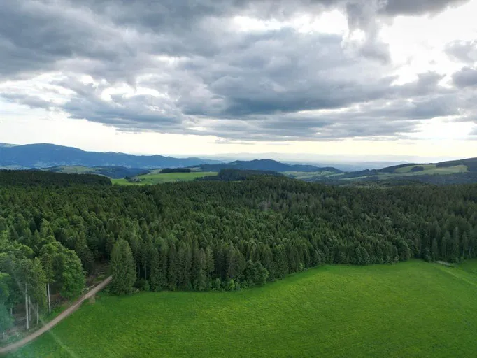 Stellplatz mit Sternenhimmel