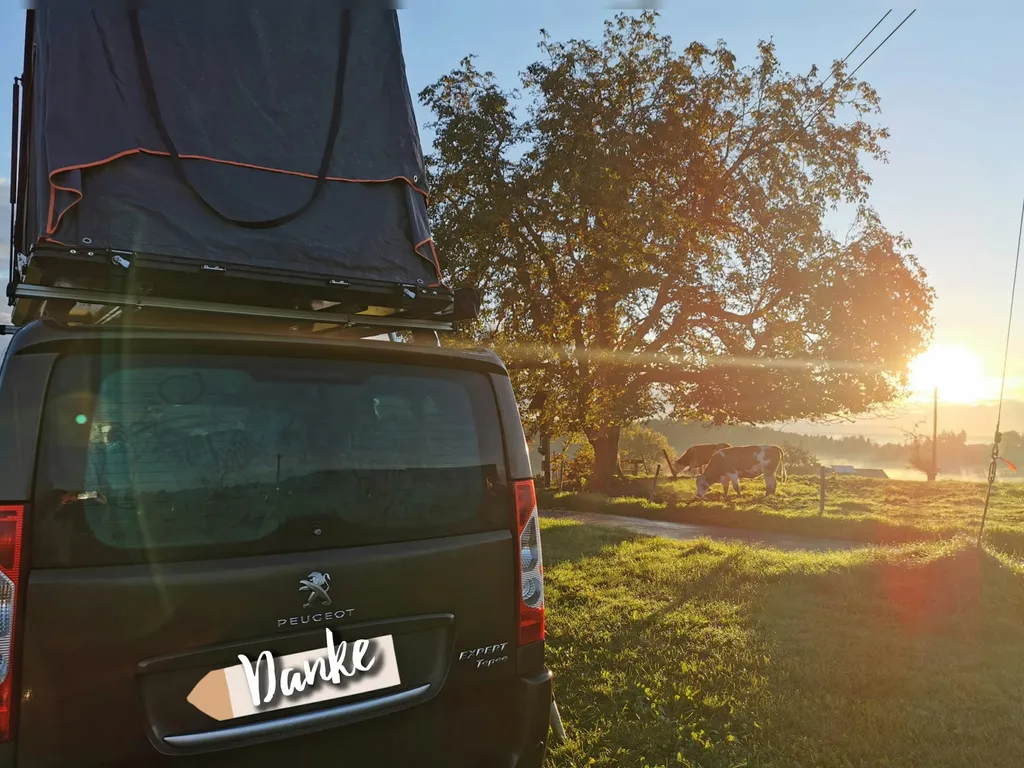 Bergblick Stellplatz mit Alpakas