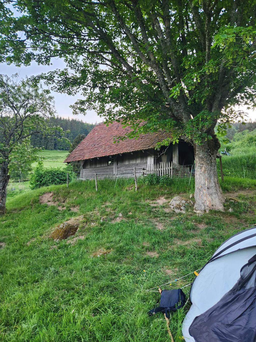 Bild von Lena für den Spot 5107