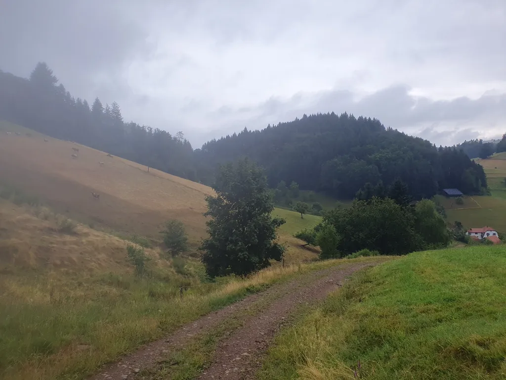 Bild von Tanja für den Spot 1620