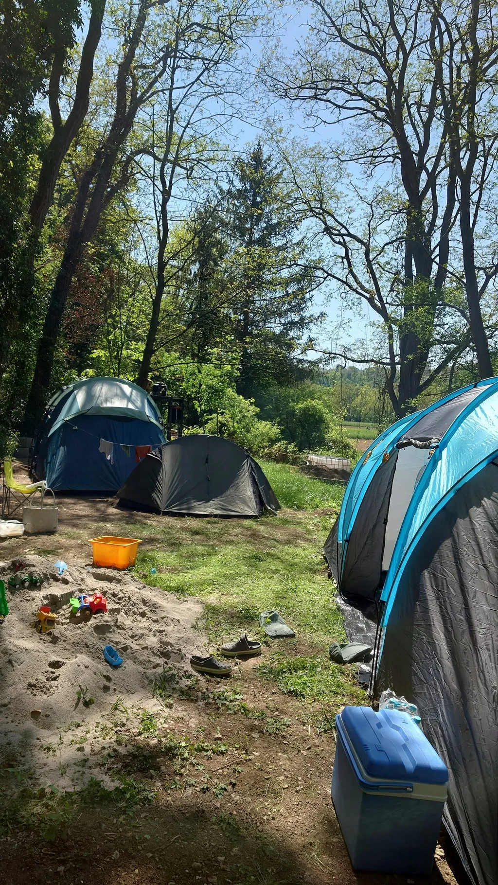 Privater Garten am Wasser (Neckar)