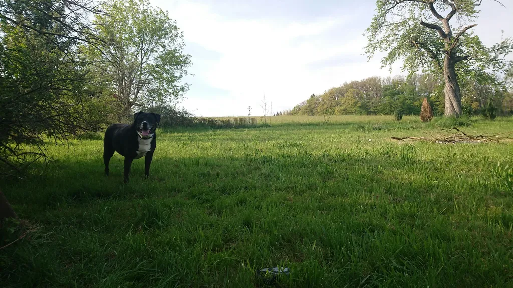 Idyllisch/sicher am Dorfrand