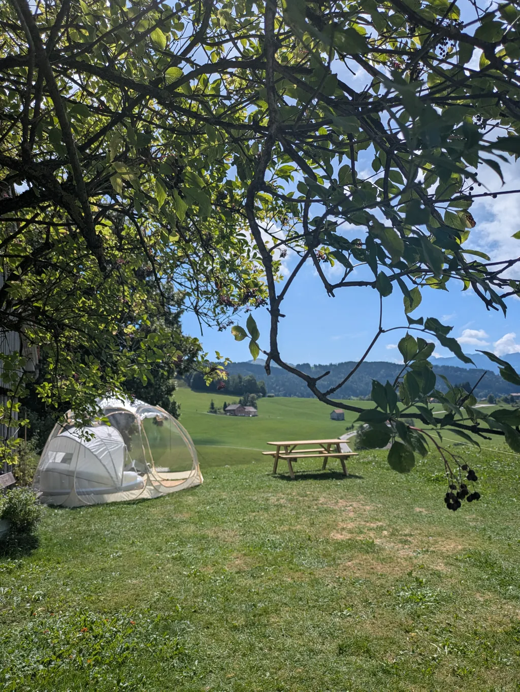 Bild von Daniela für den Spot 5309