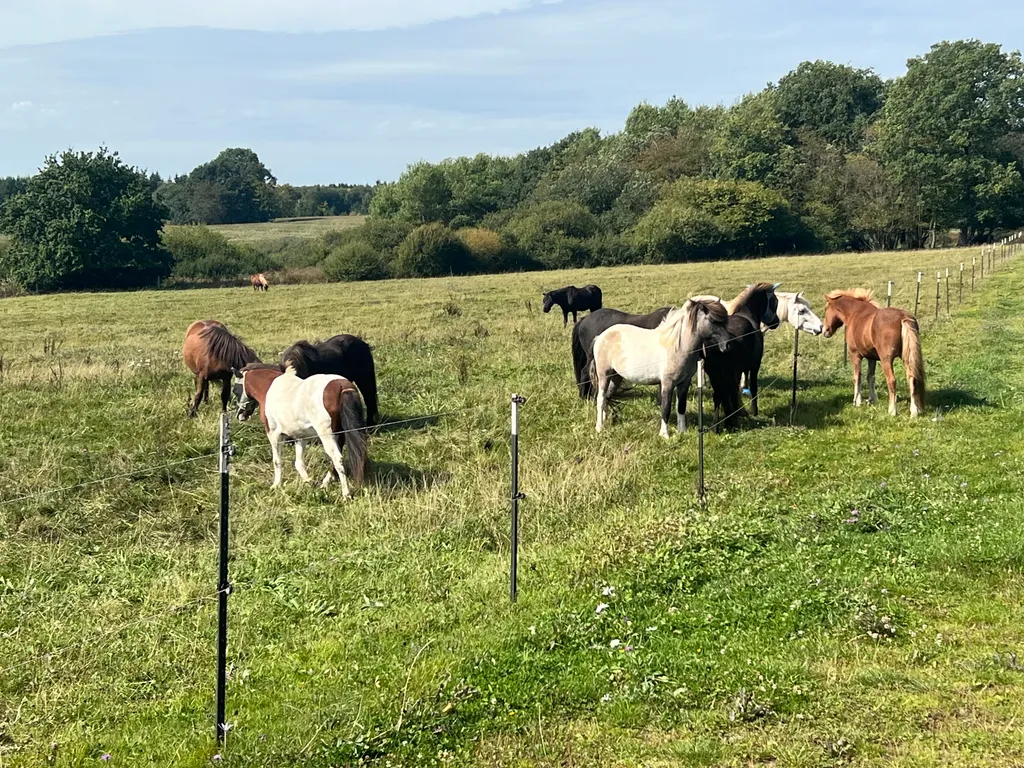 Bild von Dorit für den Spot 4078