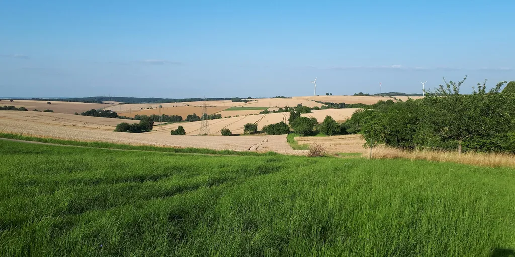 Streuobstwiese Nähe Waldrand