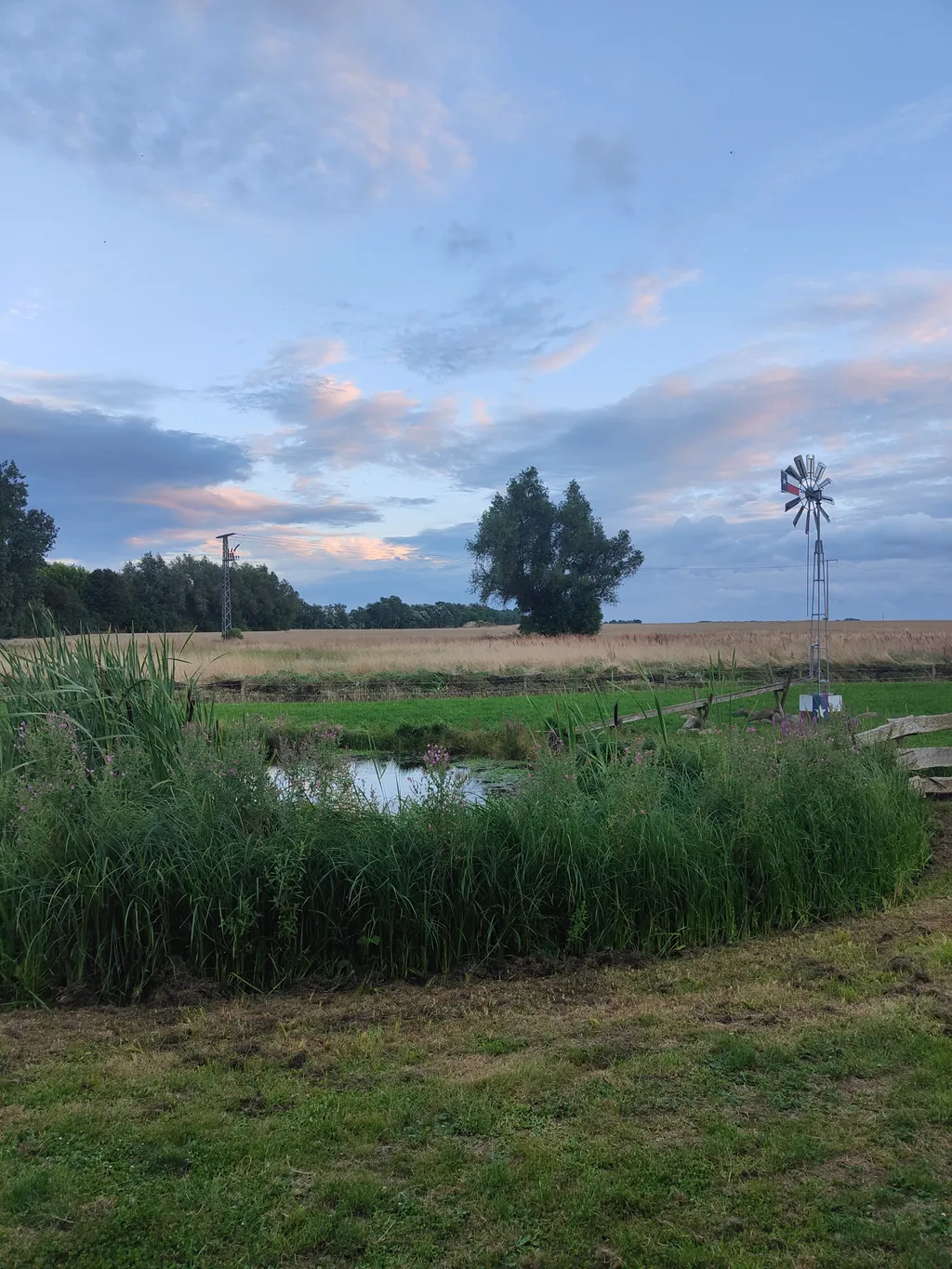 Bild von Nadine für den Spot 3725