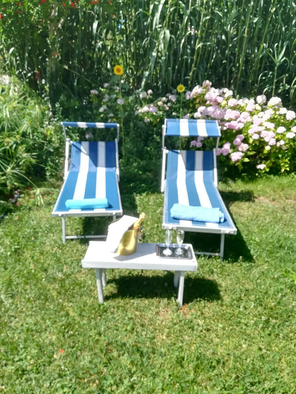 Il giardino delle ortensie