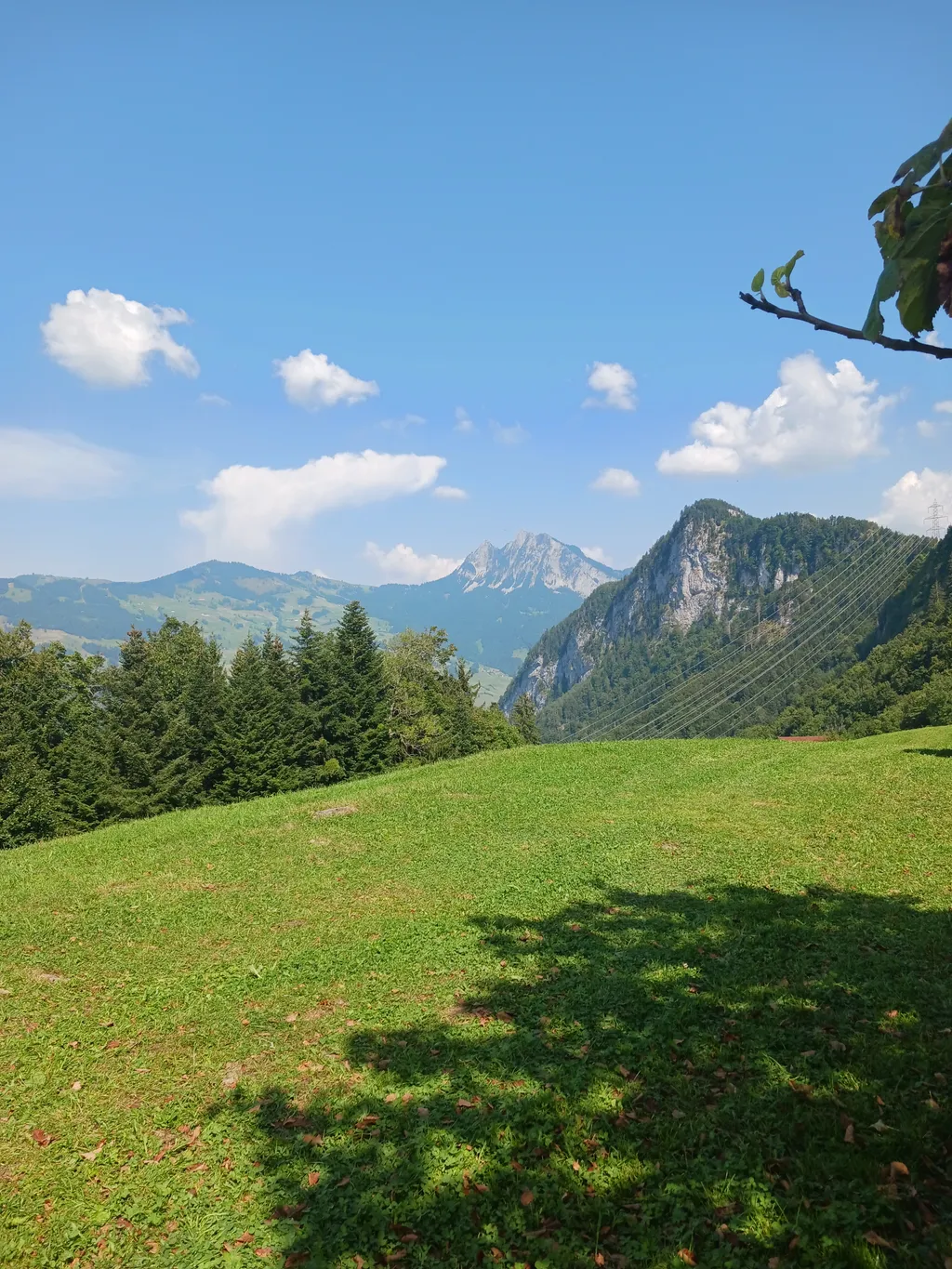 Image by Katharina for spot 4362