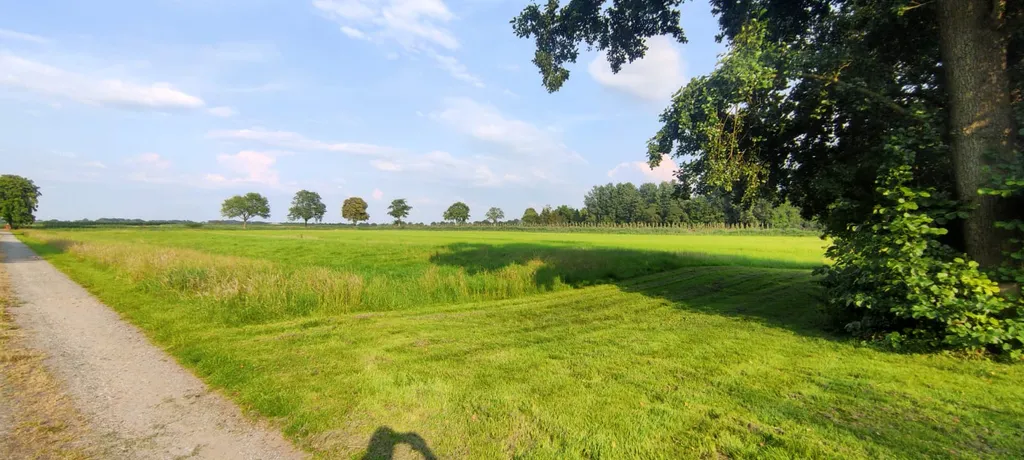 Zelten nahe Krautsand im Moor