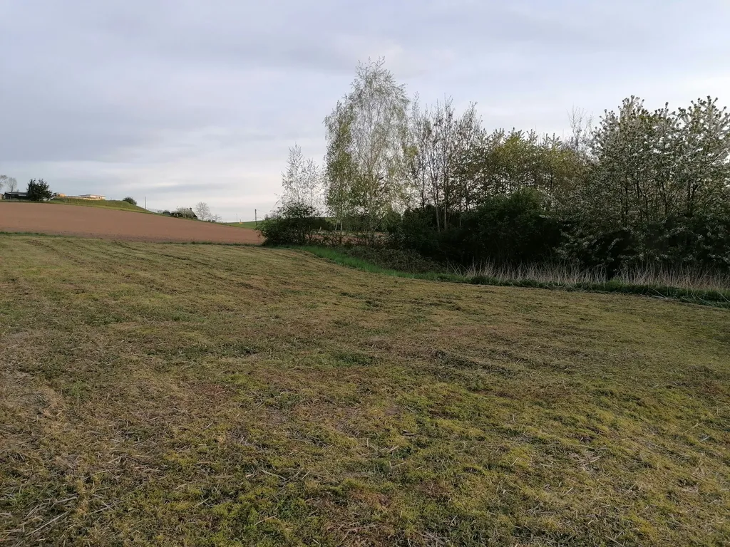 Ruhige Wiese im Grünen