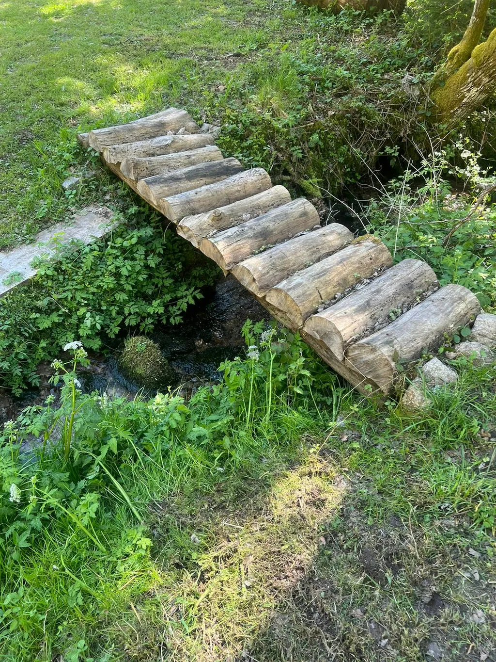 One-Night-Camp Schildbach