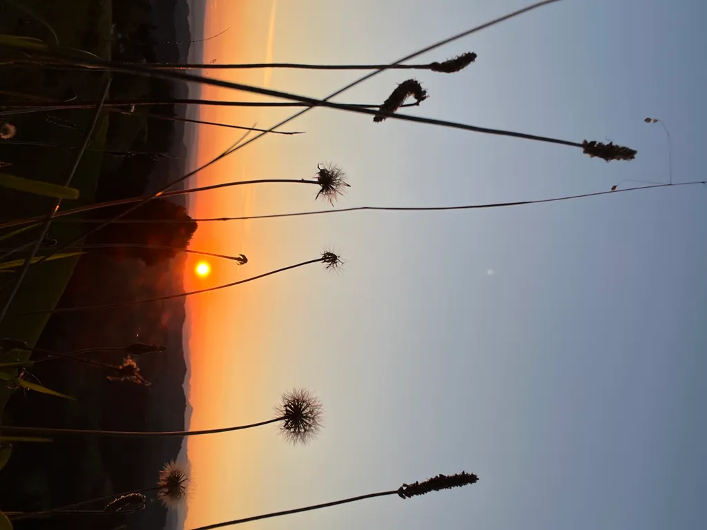 Bild von Willa für den Spot 363