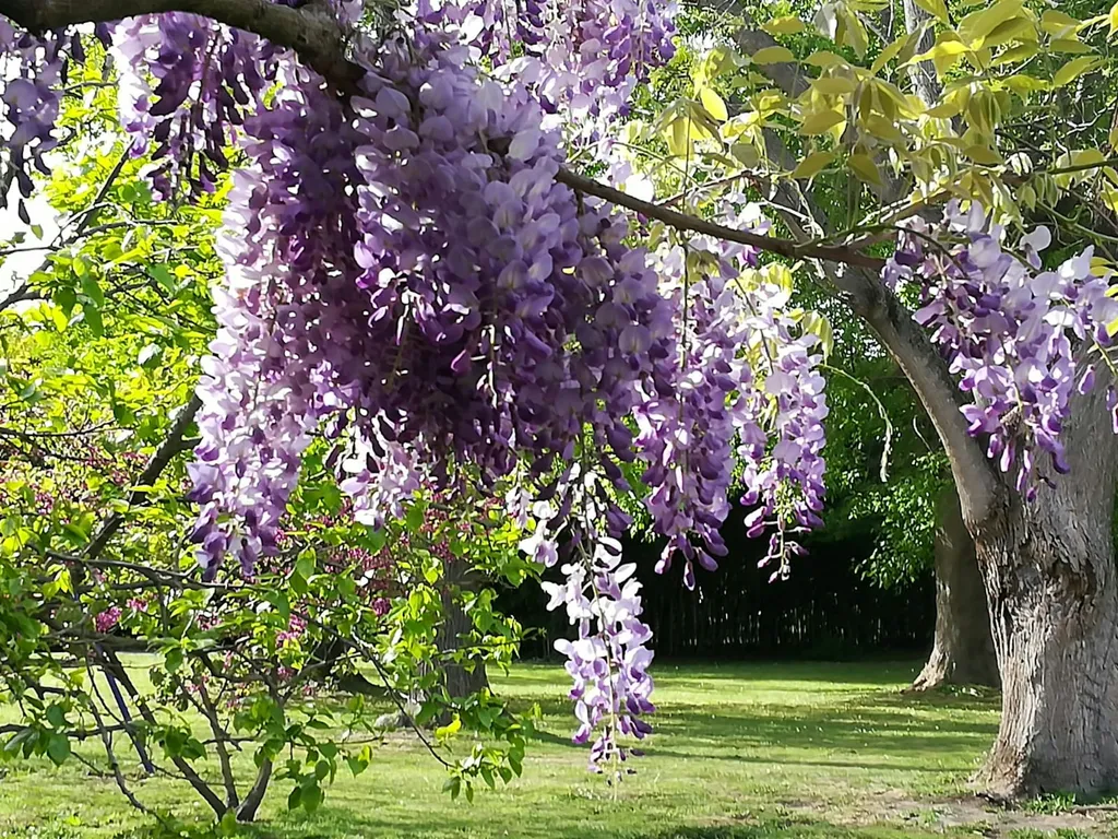 Fiume Po, natura e città d'arte