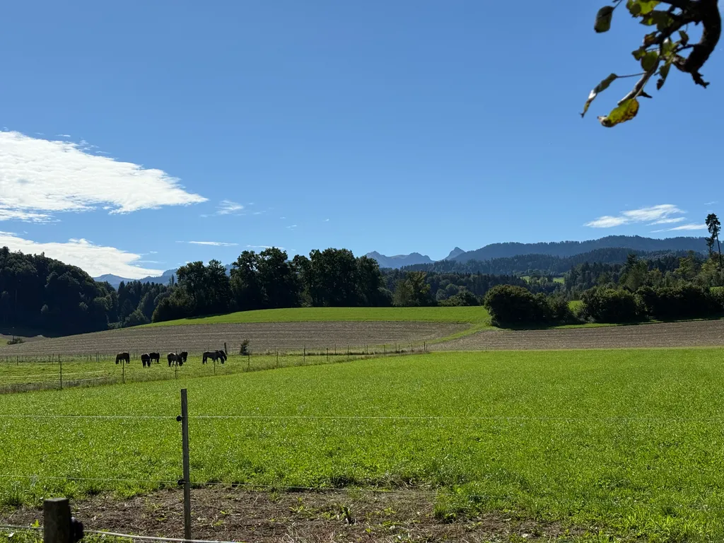 Image de Beatrice pour le spot 992