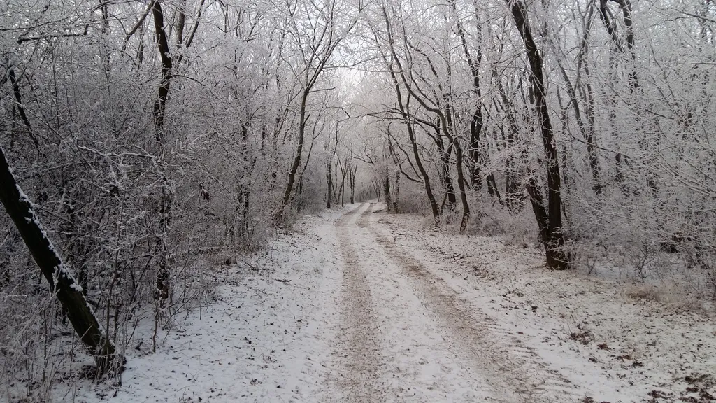 Wanderwege Königswarte im Winter