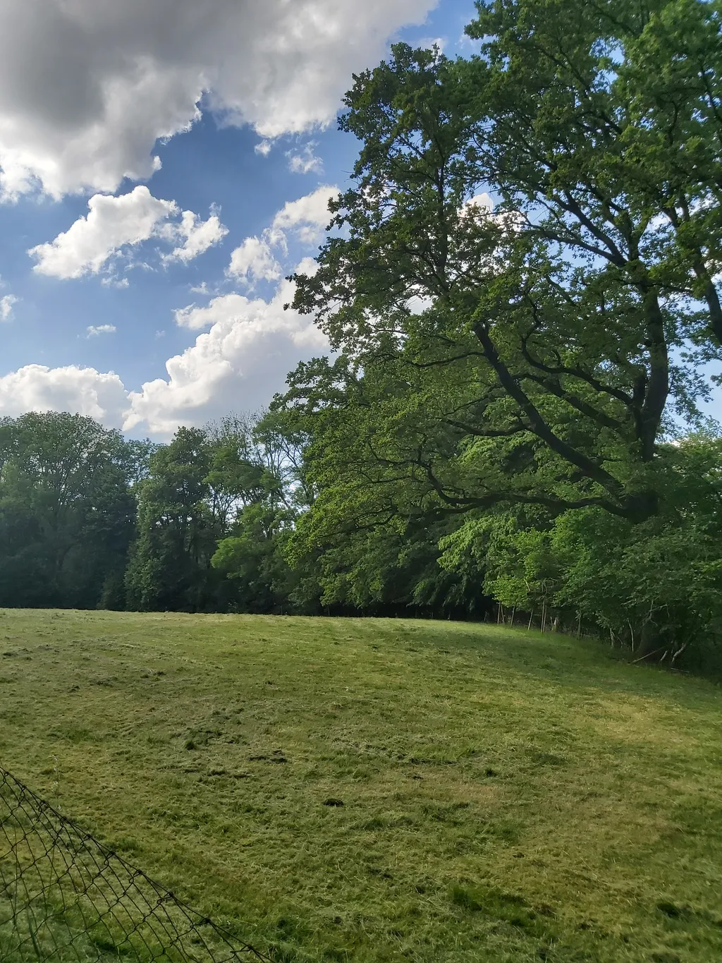 Mitten in der Natur zwischen Bodensee und Allgäu