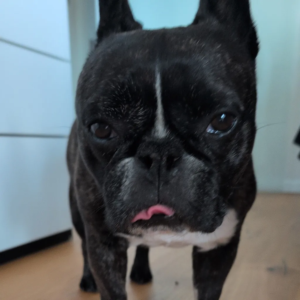 Profilbild von Manja