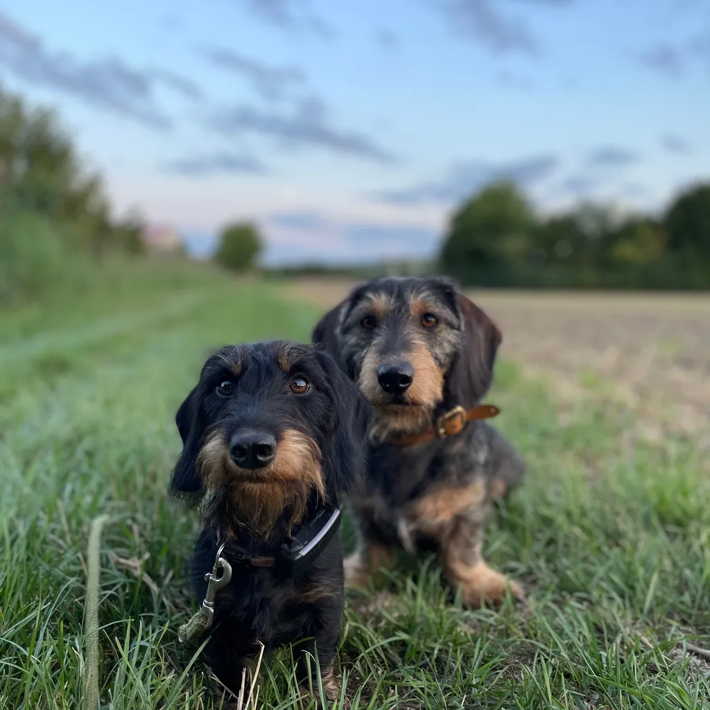 Profilbild von Stefan