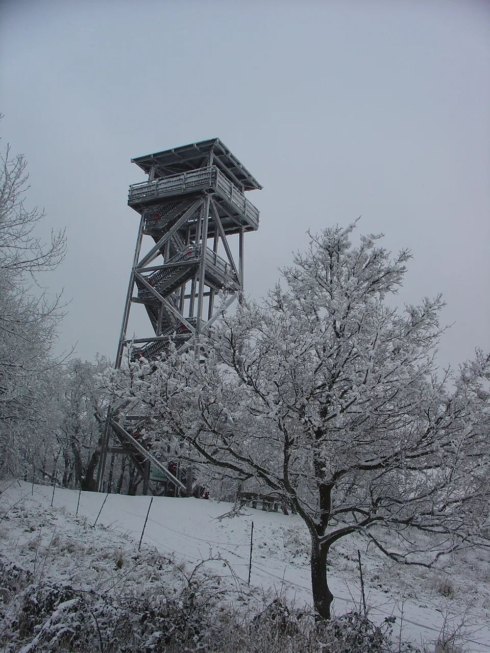 Aussichtsturm Königswarte