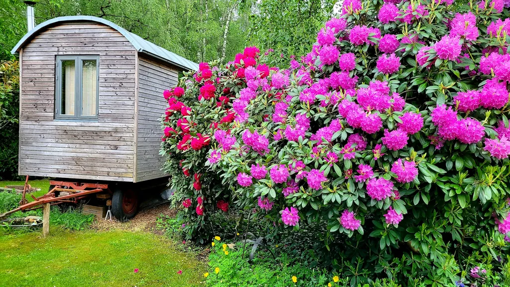 Tiny Home in Hamburg