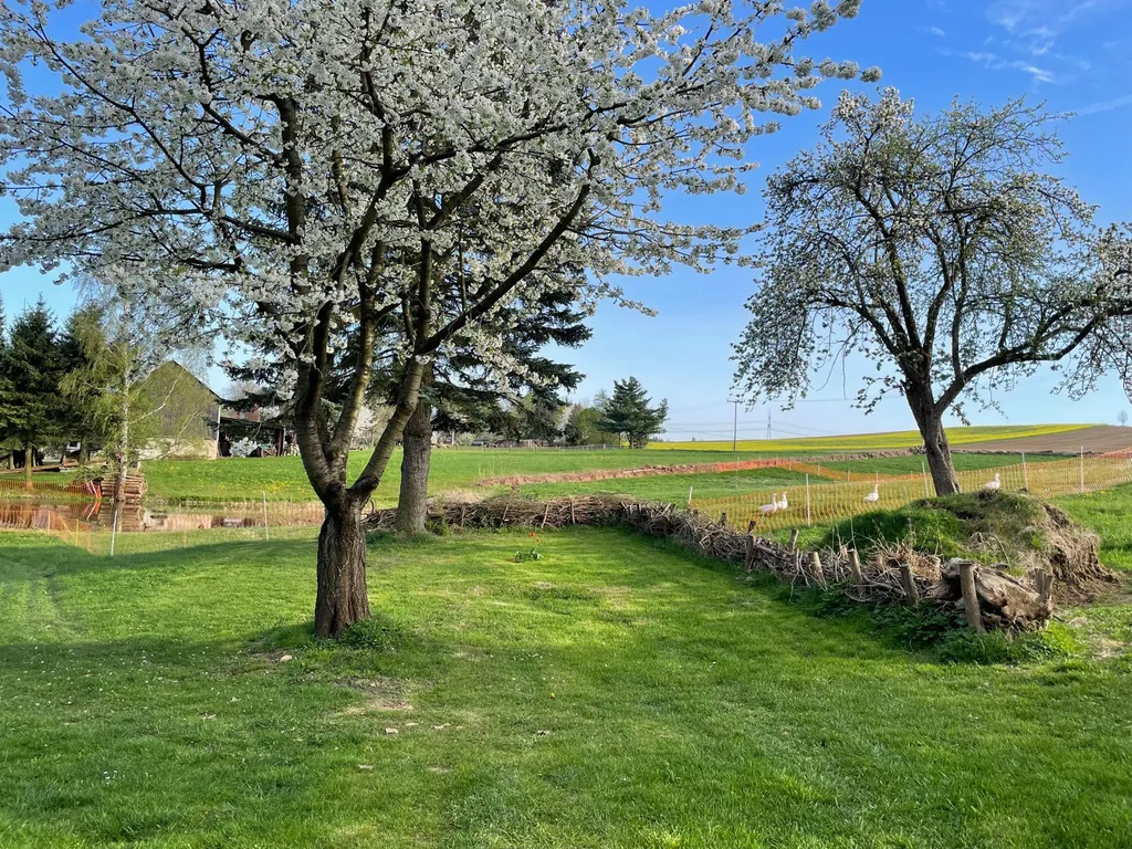 Bauernhof in ruhiger Lage