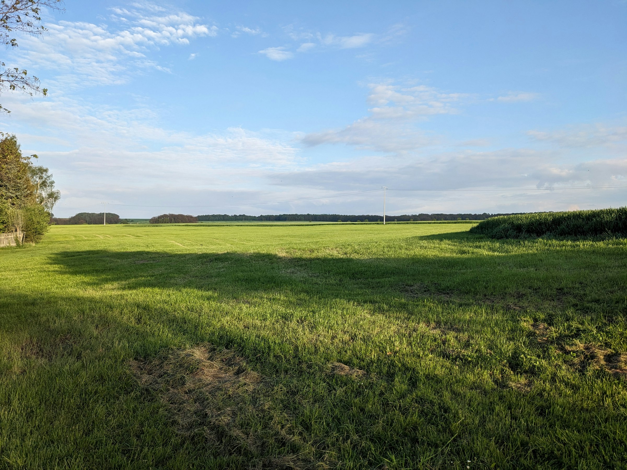 Ruhiger Naturgarten am Feldrand photo 2