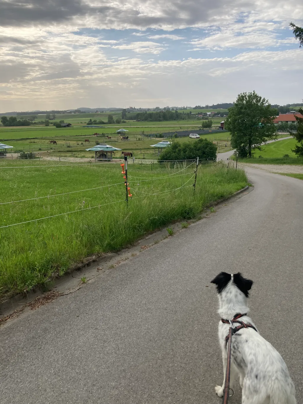 Bild von Tatjana für den Spot 3850