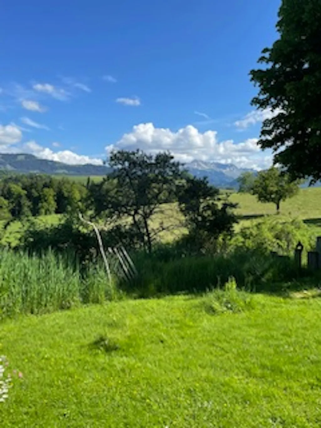 Wo einst die Ritter lebten