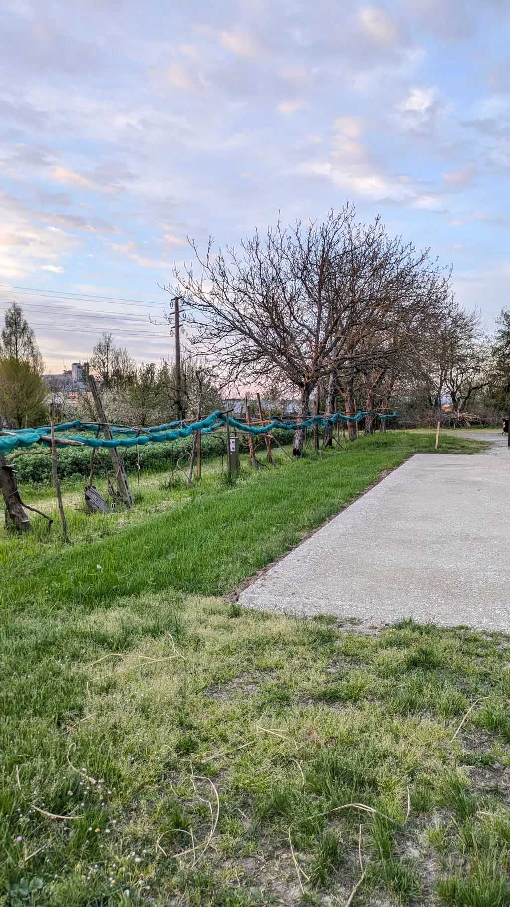 Agricola Giovanardi - biologico rigenerativo