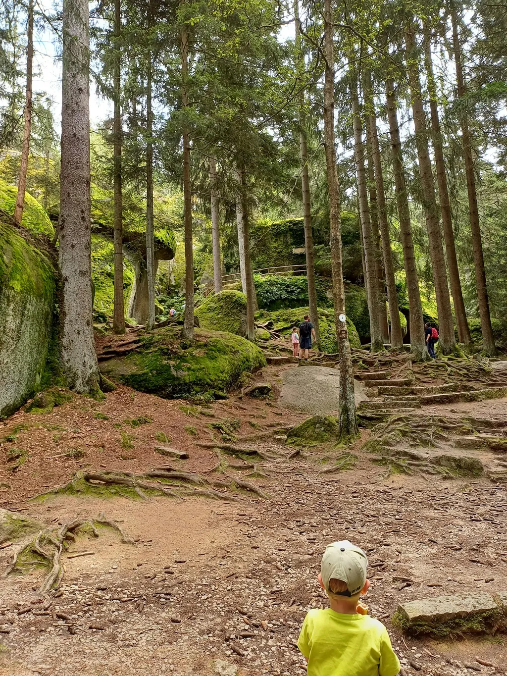 Stellplatz auf dem Land