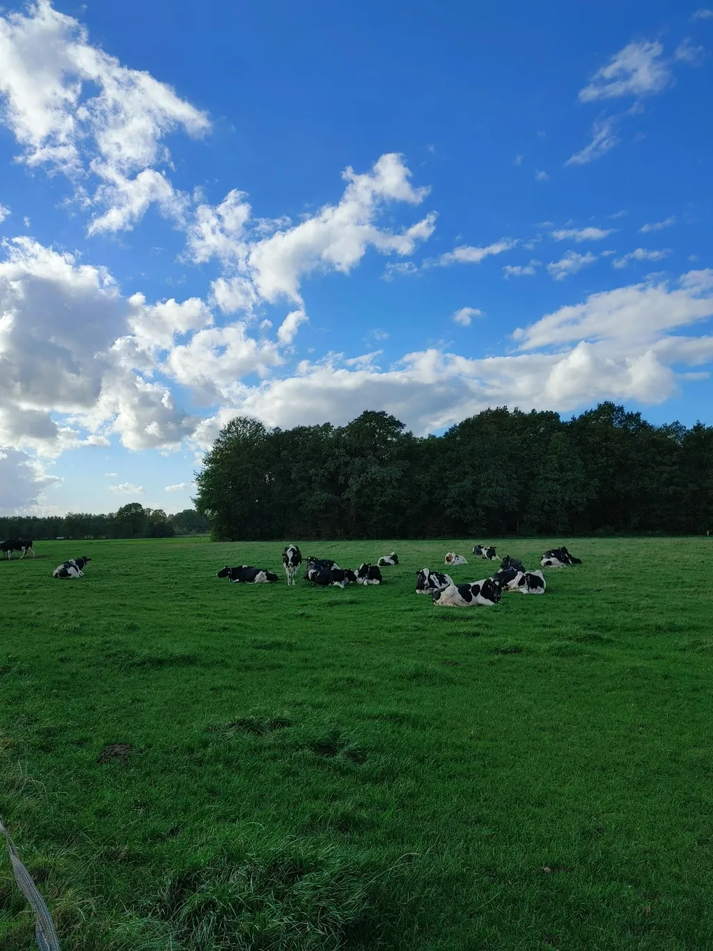 Auszeit im Wichtelgarten