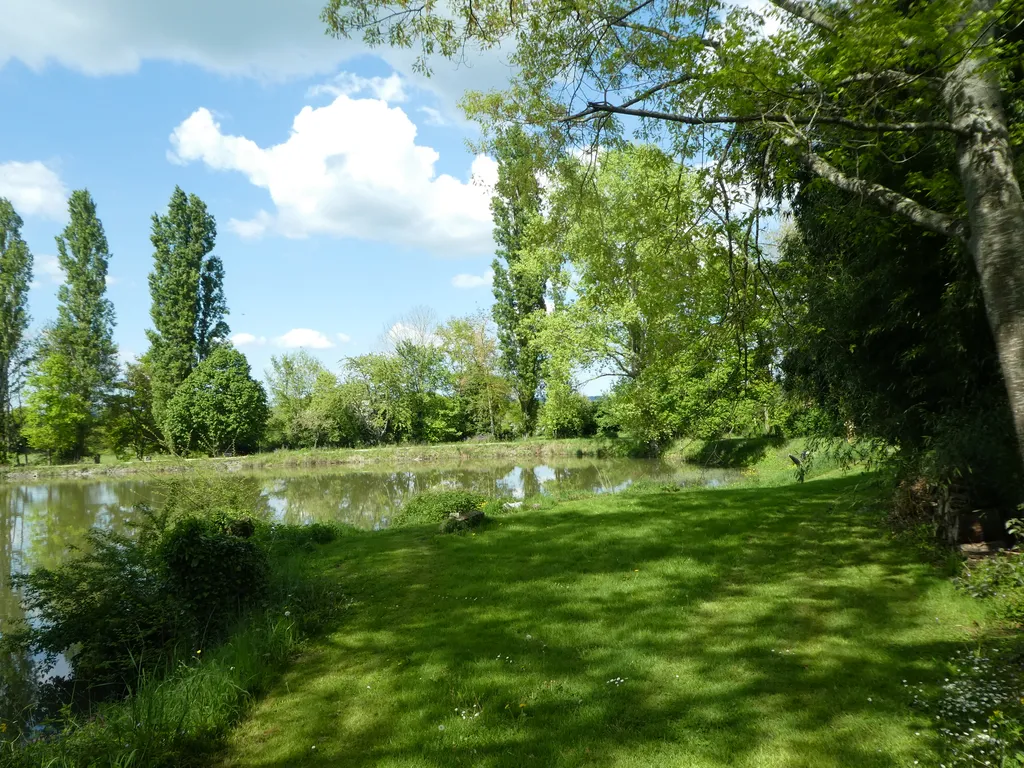 Camping am Teich