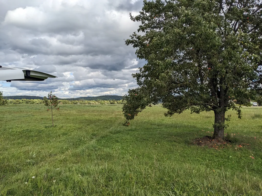 Bild von Tamara für den Spot 1601