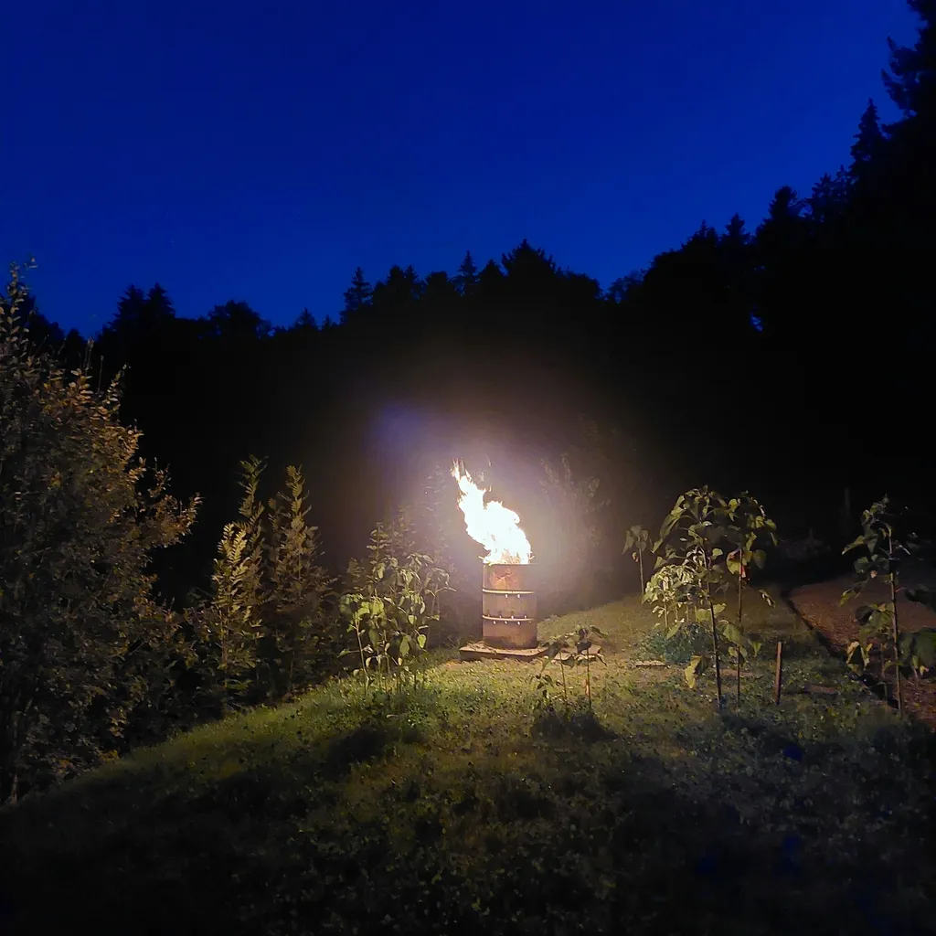 Campen im Tannenmoos