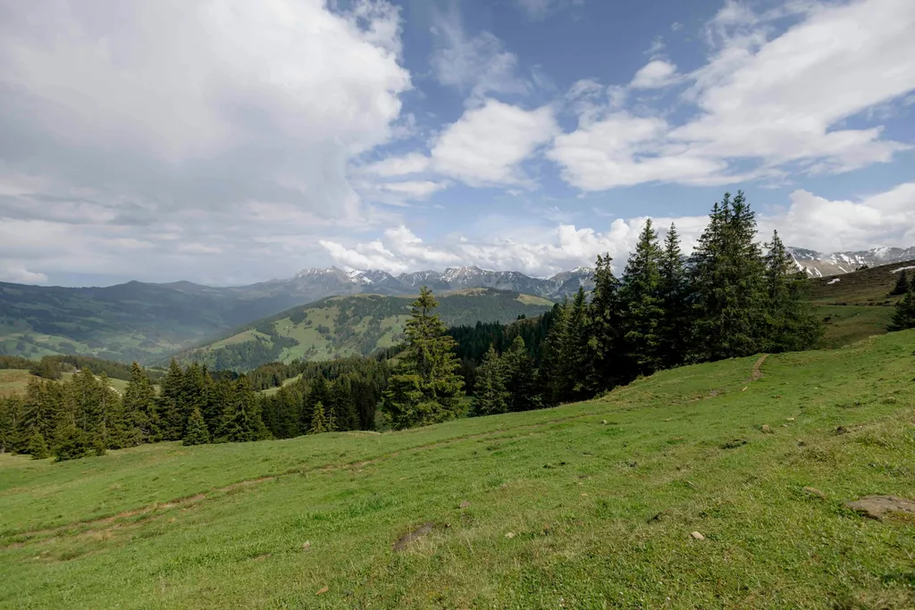 Alp Grosser Schwyberg.ch