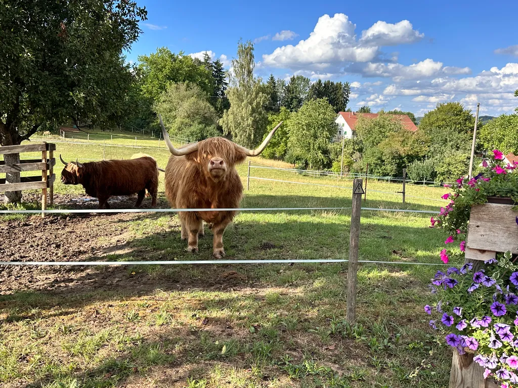 Bild von Louise für den Spot 1753