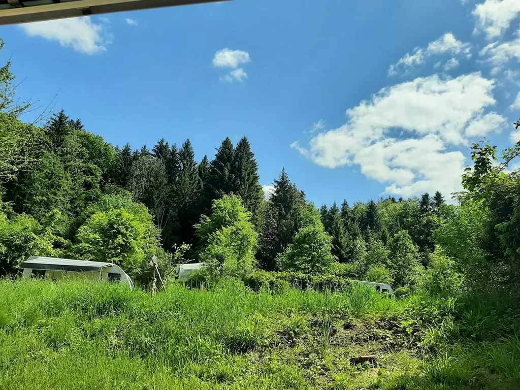 NATURISMUS bei einem FKK Verein