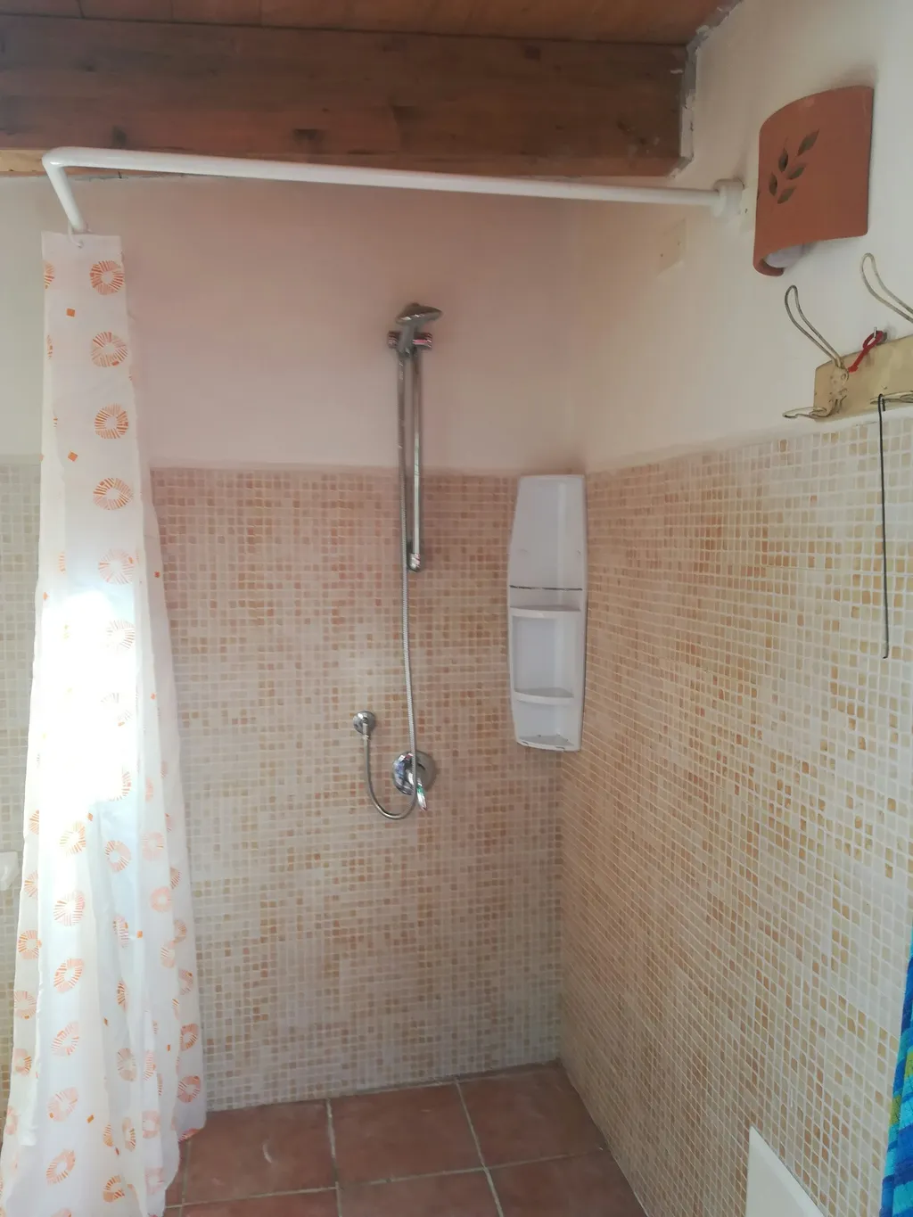 Il giardino delle ortensie